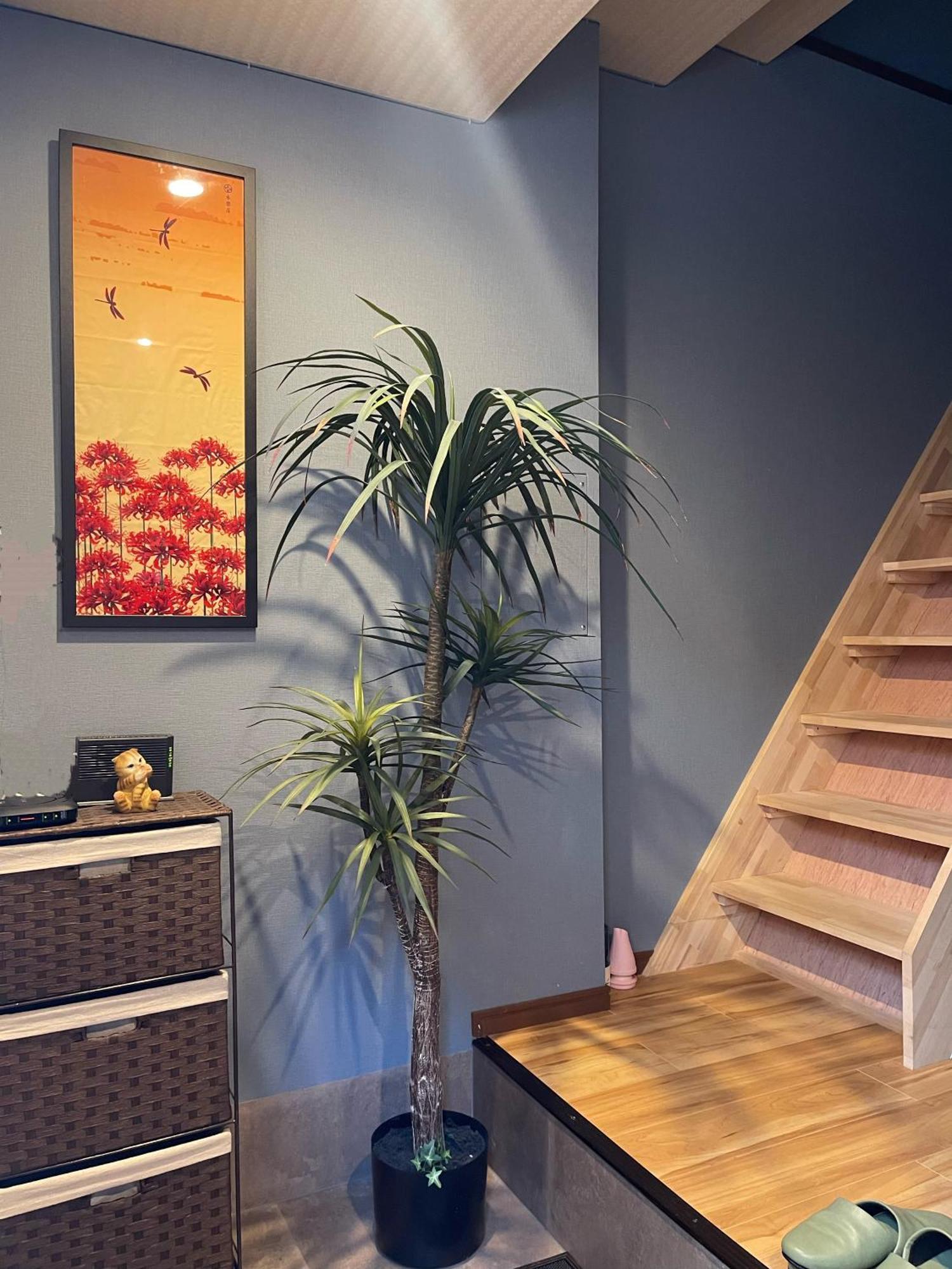 Namba Shinsaibashi 10 Mins Reiko Guest House Osaka Luaran gambar